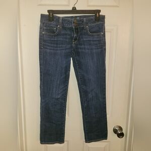 American Eagle Outfitters Size 4 Ankle Blue Jean Pants 2013 Artist STRETCH